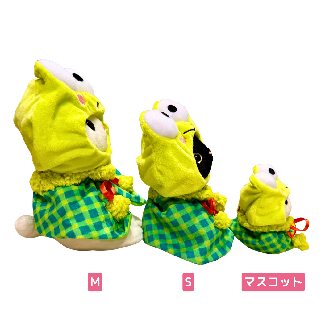 横を向いた姿はこちら🐸💞